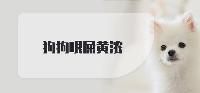 狗狗眼屎黄浓