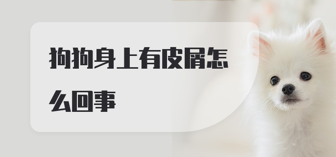 狗狗身上有皮屑怎么回事