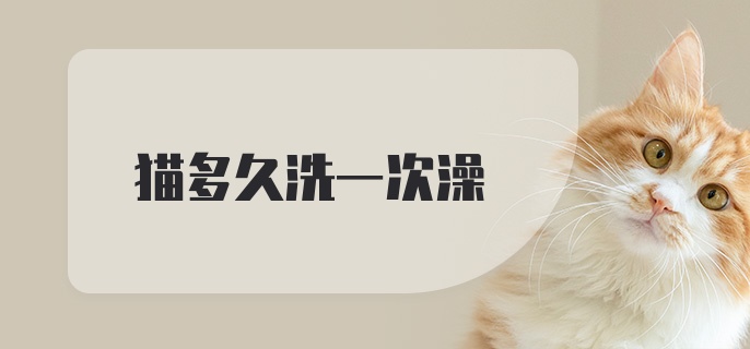 猫多久洗一次澡