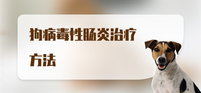 狗病毒性肠炎治疗方法