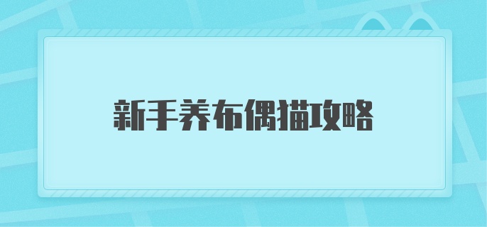 新手养布偶猫攻略