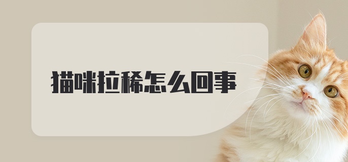 猫咪拉稀怎么回事