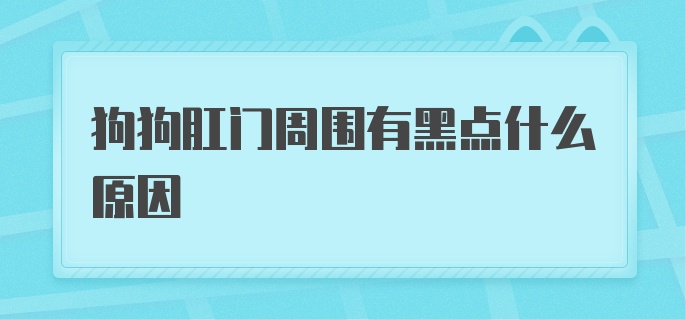 狗狗肛门周围有黑点什么原因