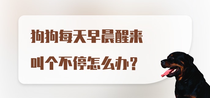 狗狗每天早晨醒来叫个不停怎么办？