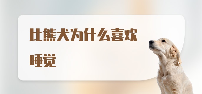 比熊犬为什么喜欢睡觉