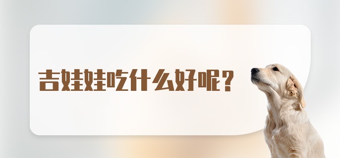 吉娃娃吃什么好呢？