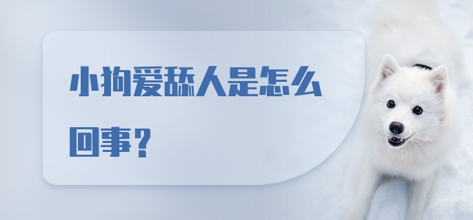 小狗爱舔人是怎么回事？