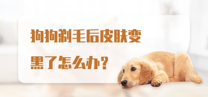 狗狗剃毛后皮肤变黑了怎么办？