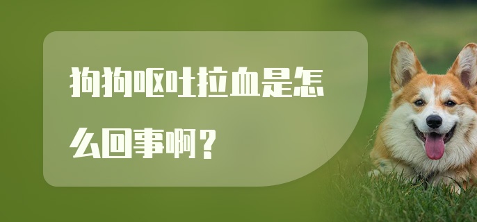 狗狗呕吐拉血是怎么回事啊?