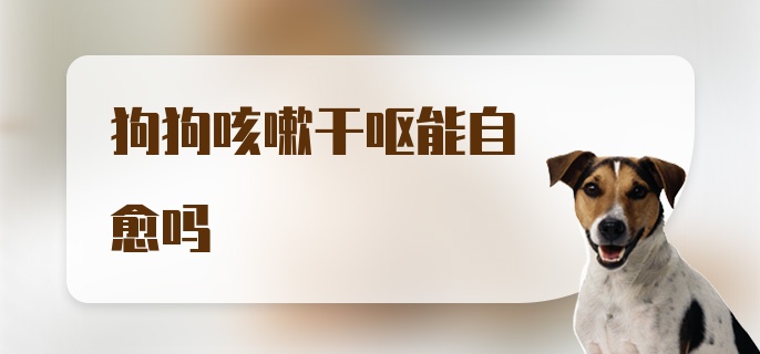 狗狗咳嗽干呕能自愈吗