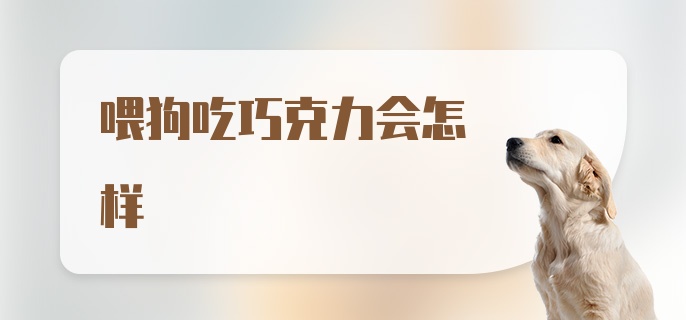 喂狗吃巧克力会怎样