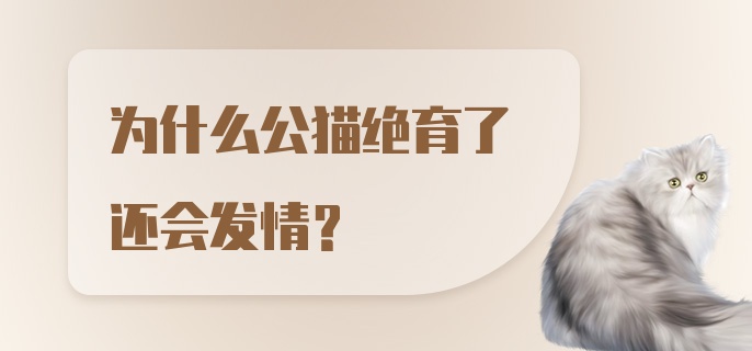 为什么公猫绝育了还会发情？