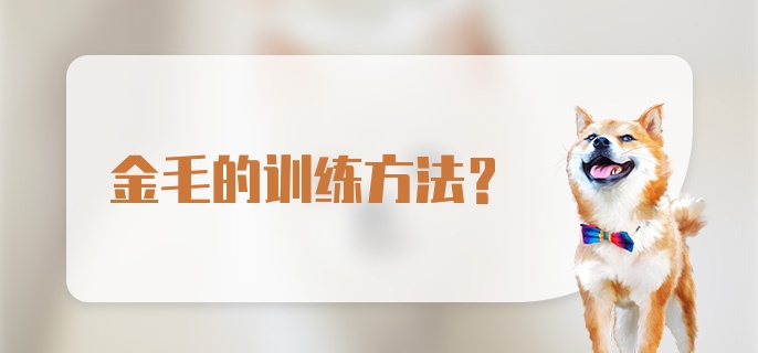 金毛的训练方法？