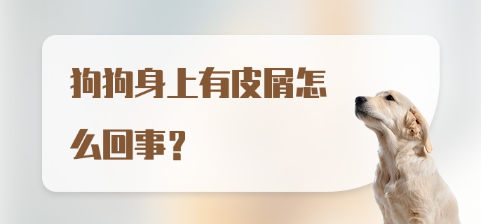 狗狗身上有皮屑怎么回事？