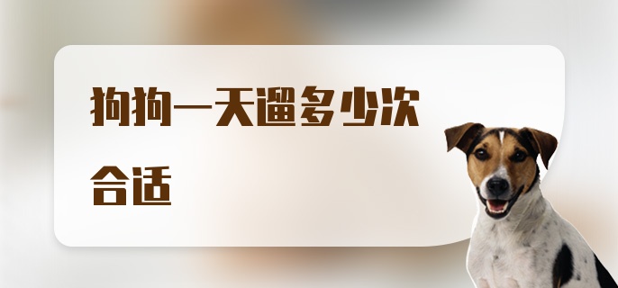 狗狗一天遛多少次合适