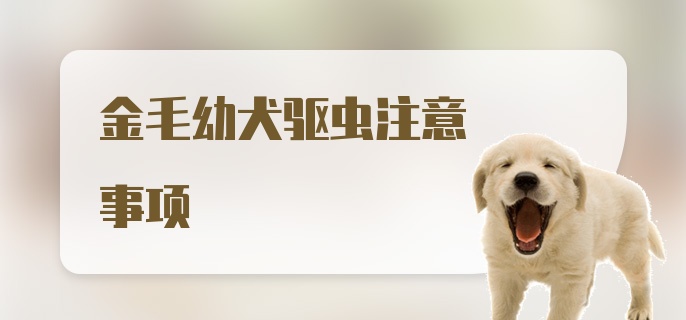 金毛幼犬驱虫注意事项