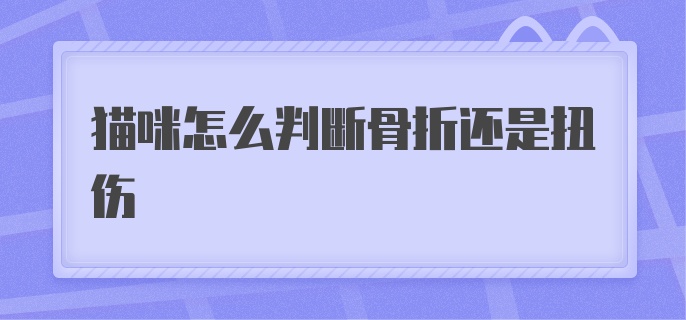 猫咪怎么判断骨折还是扭伤