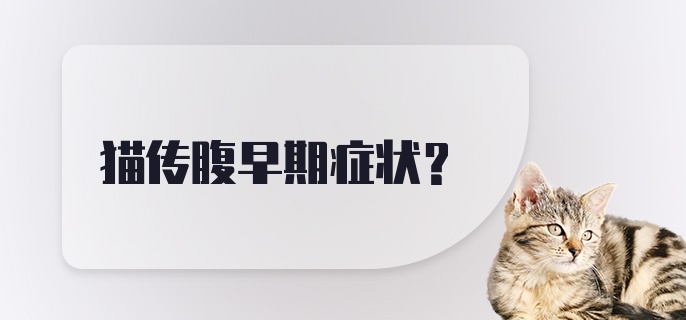 猫传腹早期症状？