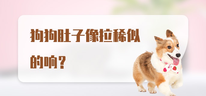 狗狗肚子像拉稀似的响？