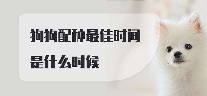 狗狗配种最佳时间是什么时候