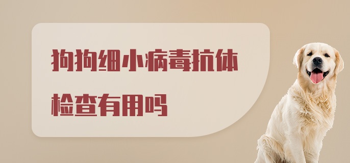 狗狗细小病毒抗体检查有用吗