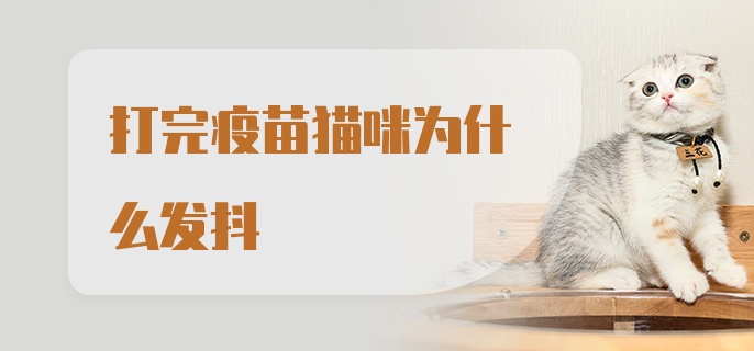 打完疫苗猫咪为什么发抖