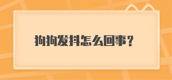 狗狗发抖怎么回事？