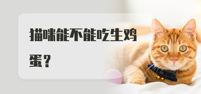 猫咪能不能吃生鸡蛋？