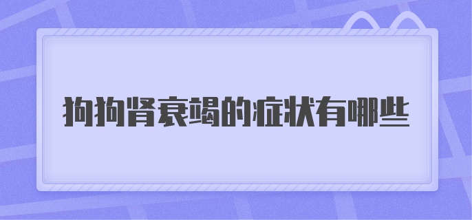 狗狗肾衰竭的症状有哪些