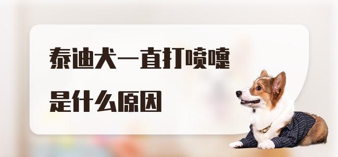 泰迪犬一直打喷嚏是什么原因