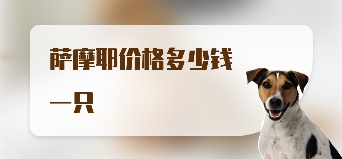 萨摩耶价格多少钱一只