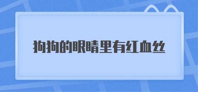 狗狗的眼睛里有红血丝