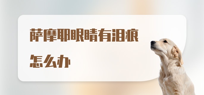 萨摩耶眼睛有泪痕怎么办