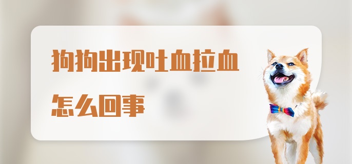 狗狗出现吐血拉血怎么回事