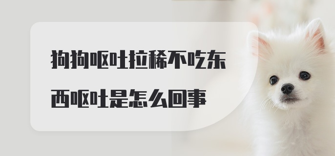 狗狗呕吐拉稀不吃东西呕吐是怎么回事