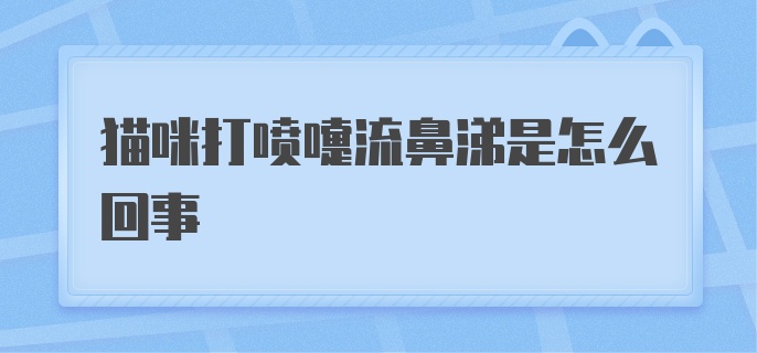 猫咪打喷嚏流鼻涕是怎么回事