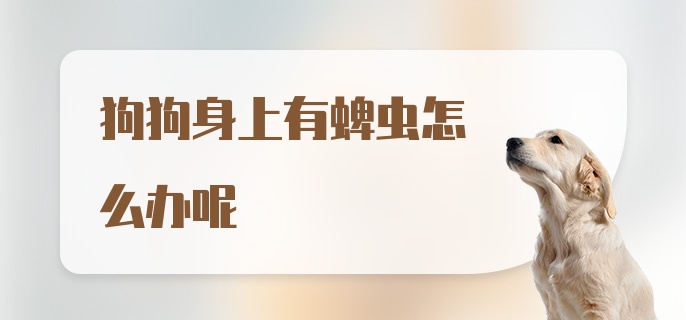 狗狗身上有蜱虫怎么办呢