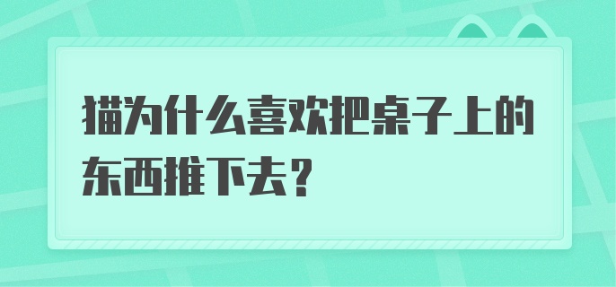 猫为什么喜欢把桌子上的东西推下去？