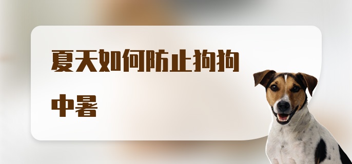 夏天如何防止狗狗中暑