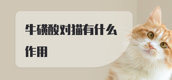 牛磺酸对猫有什么作用