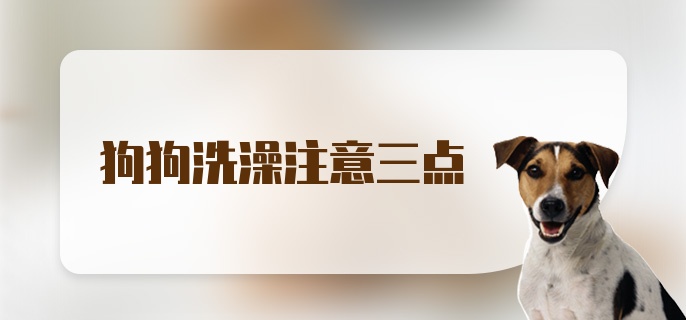 狗狗洗澡注意三点