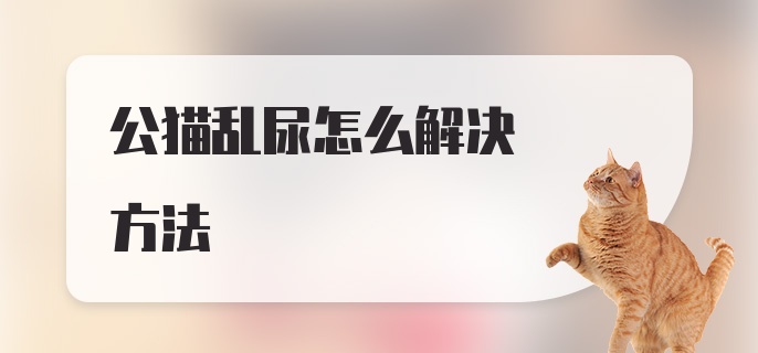 公猫乱尿怎么解决方法