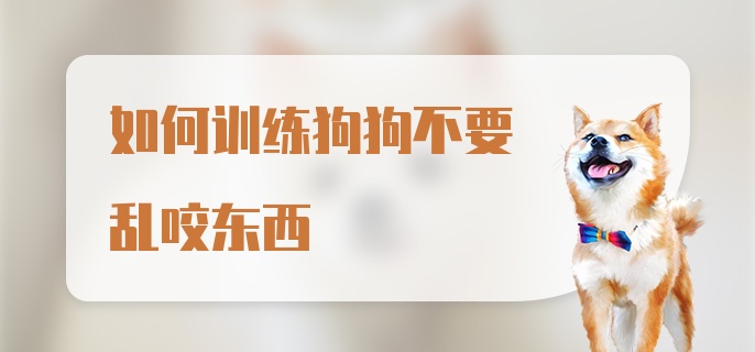 如何训练狗狗不要乱咬东西