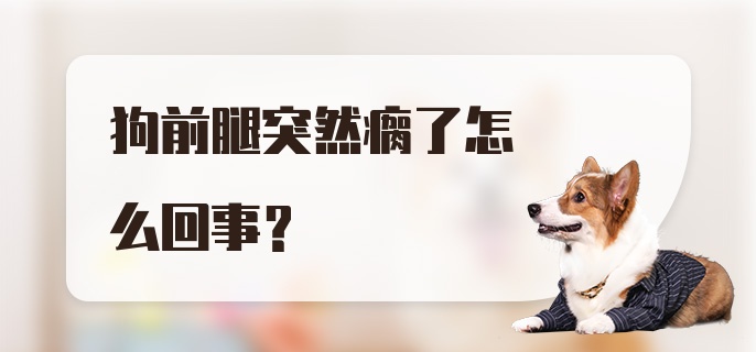 狗前腿突然瘸了怎么回事?