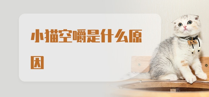 小猫空嚼是什么原因