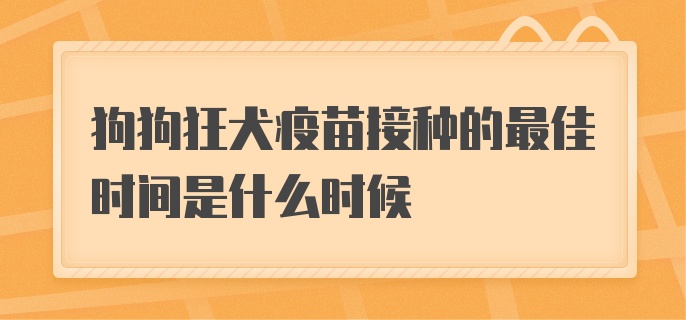 狗狗狂犬疫苗接种的最佳时间是什么时候