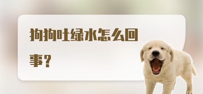 狗狗吐绿水怎么回事？