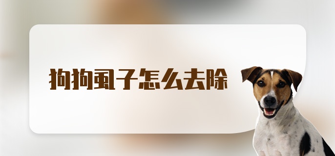 狗狗虱子怎么去除