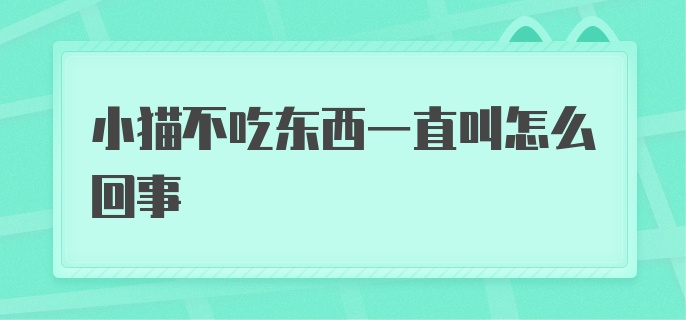 小猫不吃东西一直叫怎么回事