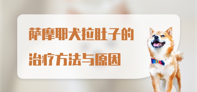 萨摩耶犬拉肚子的治疗方法与原因